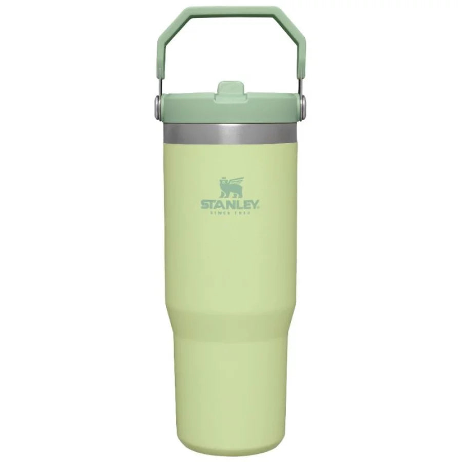 Thermal mug with straw STANLEY The IceFlow Flip Straw Tumbler 0.89L light green