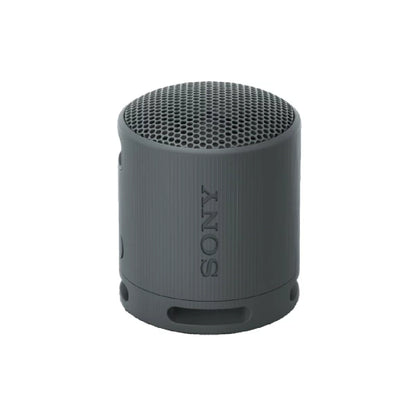 Беспроводная колонка SONY SRSXB100B.CE7